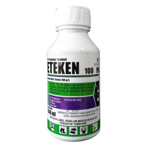 ETEKEN 100 PA